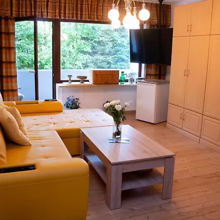 Feldstrasse 30-k Apartment Winterberg